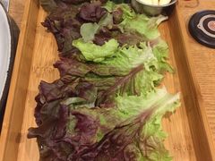 -黄金牧场(明洞总店)