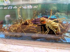 -旺顺阁海鲜广场(亚运村店)
