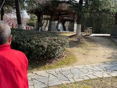 -白塘生态植物园