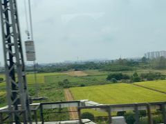 -永和大王(茉莉上新·胜利一路店)