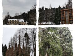 -武陵山森林公园