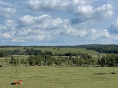 -塞罕坝国家级自然保护区