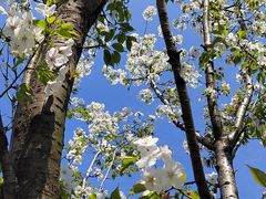-黄公望隐居地
