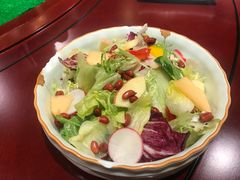 -蒙古大营(朝阳公园店)