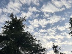 -洨河生态公园
