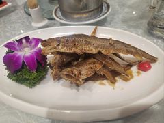 -金米箩大酒店(五角场店)