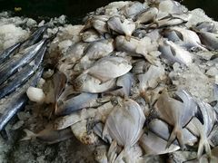 android_upload_pic-海峡水产品交易中心(海鲜交易区)