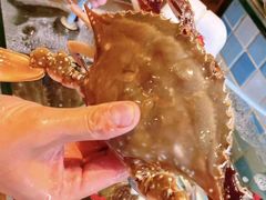 -四海蒸鲜蒸汽海鲜自助(北戴河店)