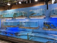 水产区-天怡·鱼工厂(临江店)