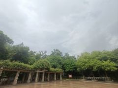 -火炉山森林公园