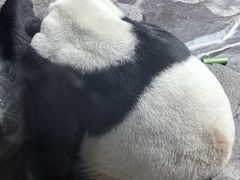 -济南野生动物世界