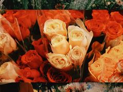 -循礼门鲜花花市(武汉循礼门店)