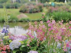 -人民公园(罗湖区)