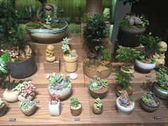 -方所(华润万象城店)