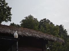 -良渚文化村