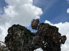 -奥兰多迪士尼动物王国乐园