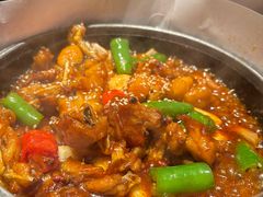 头牌石锅蛙-雨后行菜(报慈北路店)