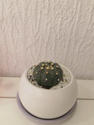 -小梨·OndaPro·专业脱毛连锁机构