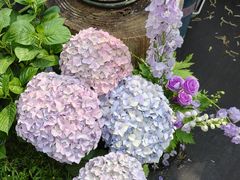 -秀儿家の小确幸花园西餐厅