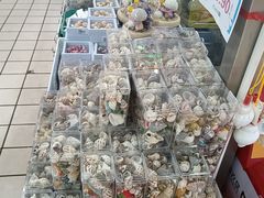 -利群商厦(台东店)