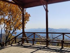 -大岭沟猕猴桃谷风景区