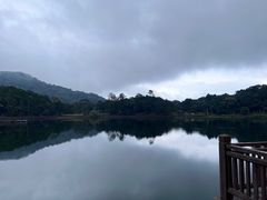 -海南热带雨林国家公园吊罗山景区