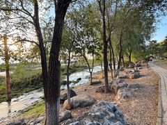 -绿堤公园