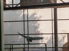 -厦门园林博览苑
