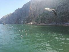 -长岛万鸟岛