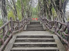 -丰都鬼城名山景区