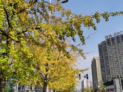 -蜀厨小匠·民间川菜(犀浦店)