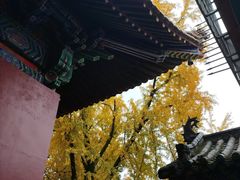 -宝通禅寺
