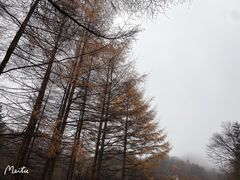-秦岭风景区