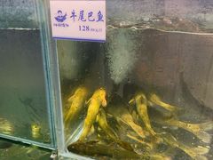 -胖姐渔村(中源大道店)