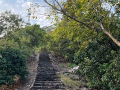 -风云岭森林公园