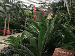 -北京植物园-展览温室