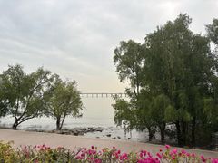 -宝安西湾红树林湿地公园