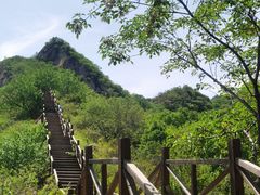 -大岭沟猕猴桃谷风景区