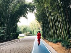 -苏州河梦清园环保主题公园