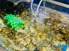 -V-ONE西雅图海鲜自助餐厅(仓山万达广场店)