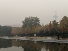 -金陵图书馆