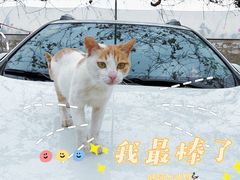 -尚果生态采摘园