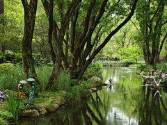 -上海共青森林公园