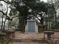-八大山人梅湖景区