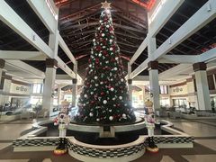 -麦哲伦丝绸度假村