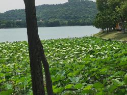 -剑鱼皮划艇俱乐部(石湖基地)