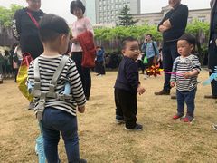 -嘉定紫藤园
