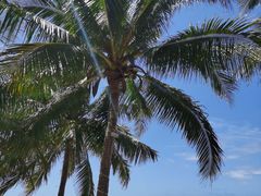 -日月湾海门游览区