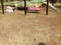 -金钉子远古世界景区