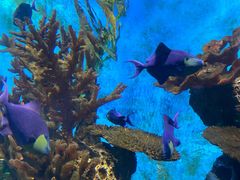 -多彩贵州城极地海洋世界